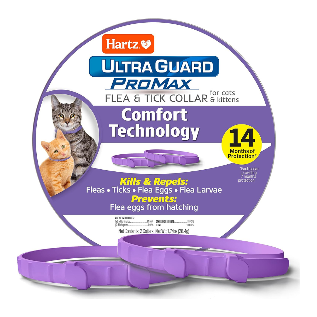 Pet Insurance for Dogs