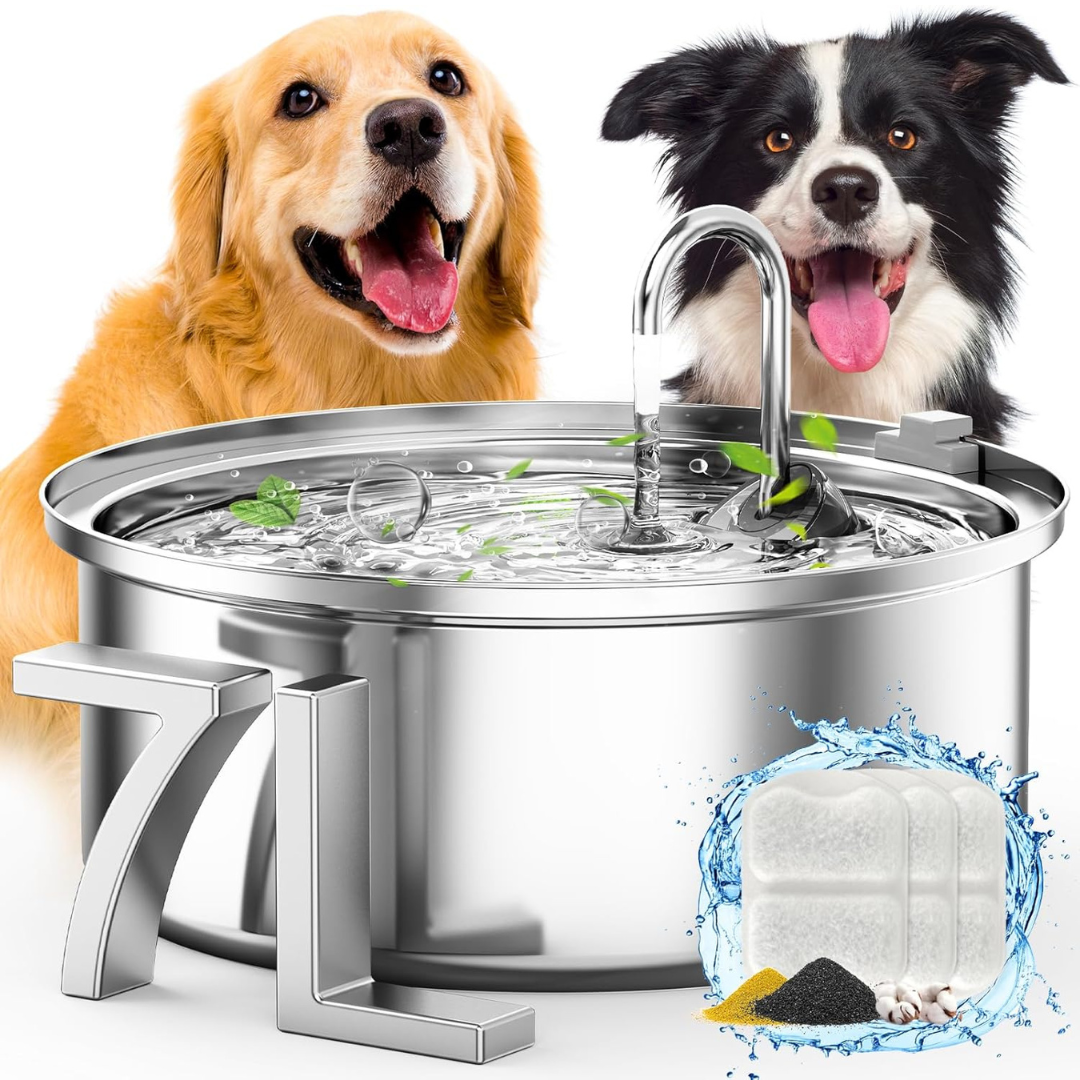 oneisall Cat Water Bowl Fountain for Large Pets