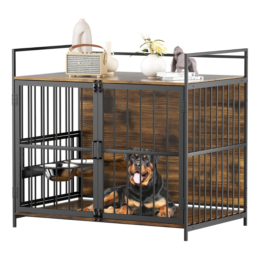 Pet Insurance for Dogs