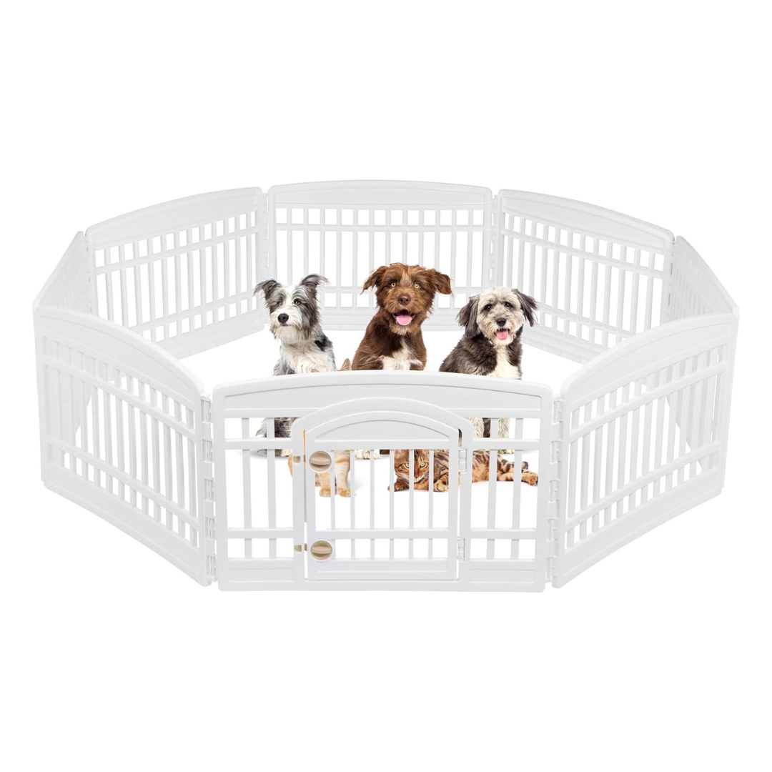Pet Insurance for Dogs