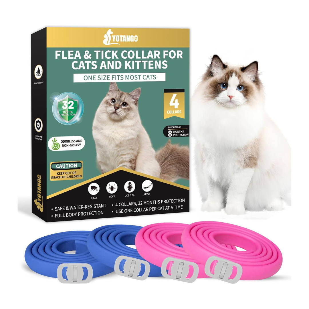 Cat Flea Collar YOTANGO 4 Pack Flea Collar for Cats