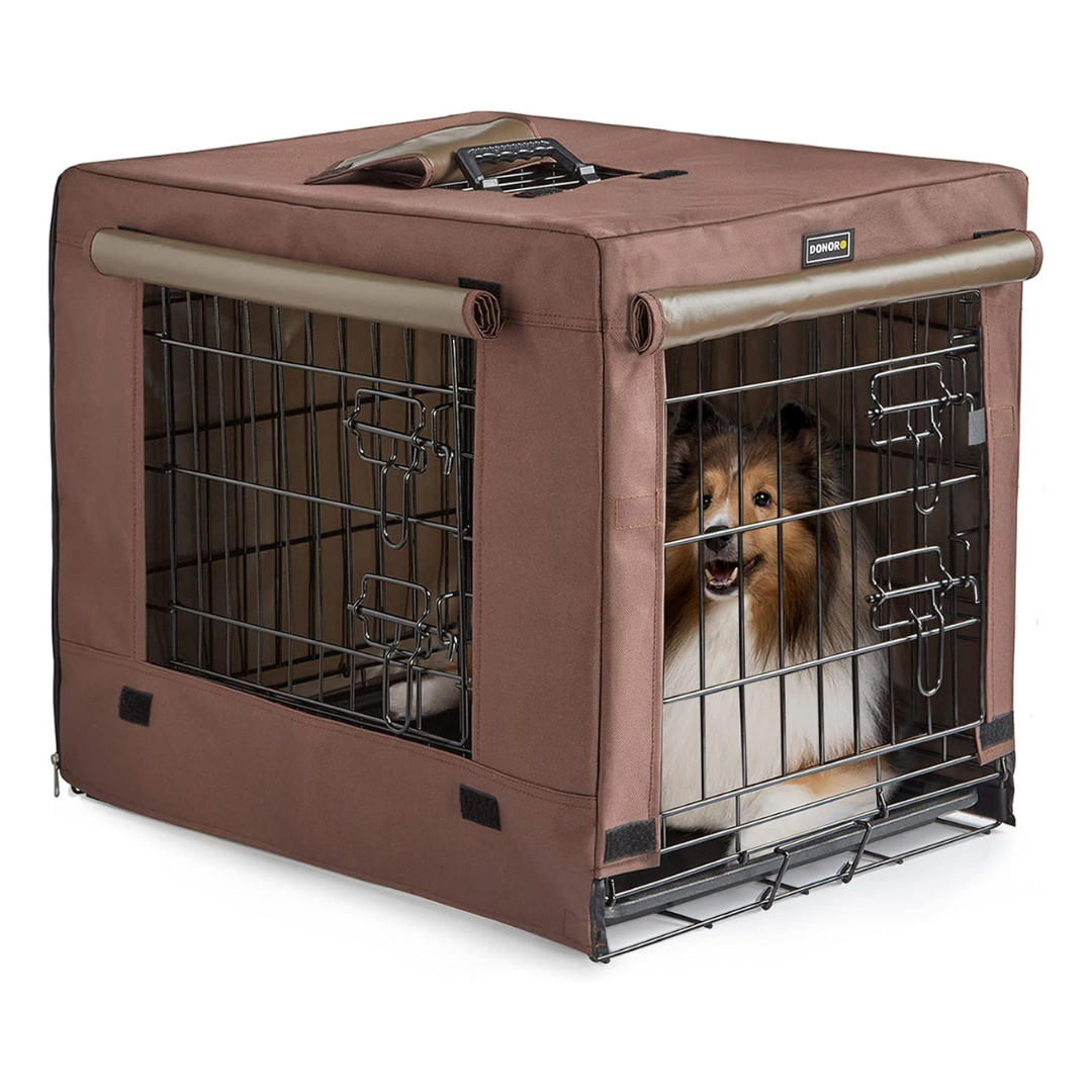 Pet Insurance for Dogs