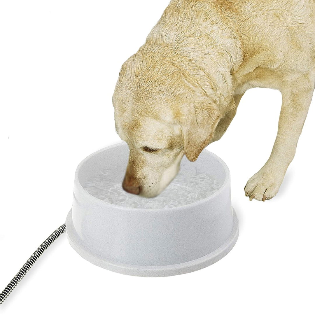 K&H Pet Products Thermal-Bowl Outdoor Heated Cat Water Bowl