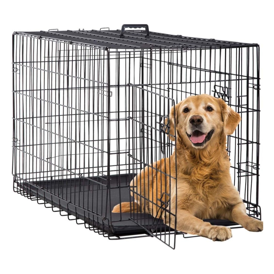 Pet Insurance for Dogs